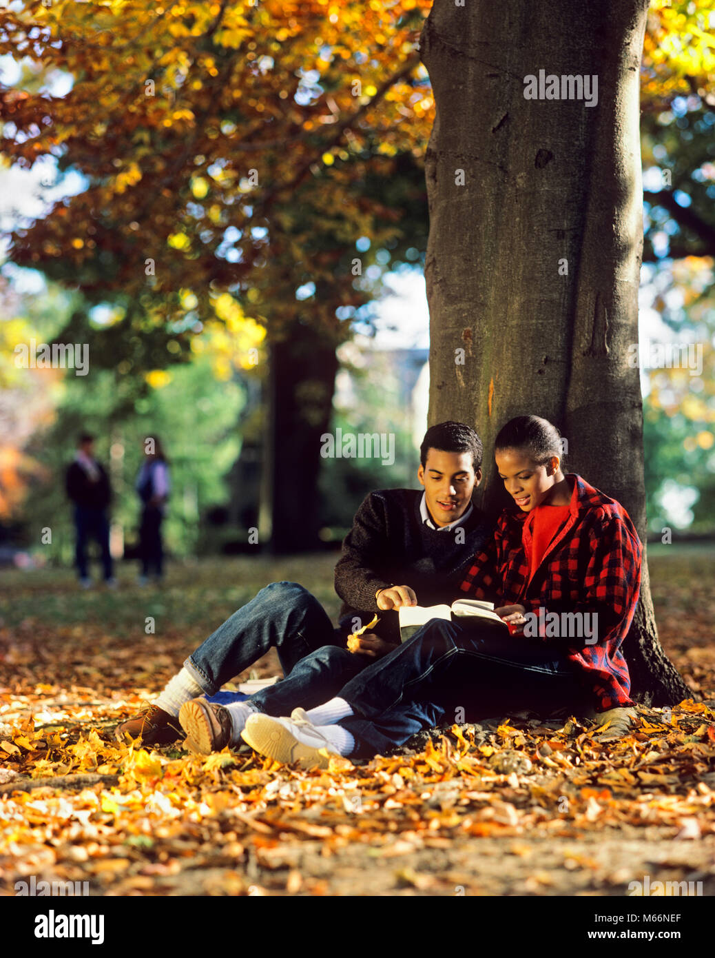 Anni ottanta americano africano giovane a studiare sotto agli alberi del campus Foglie di autunno - ks25792 DEG002 HARS comunicazione di stile giovane adulto il lavoro di squadra di due persone informazioni CAMPUS LIFESTYLE femmine cresciuto spazio copia amicizia a metà lunghezza coppie LADIES SNEAKERS DENIM NOSTALGIA convivere 20-25 anni obiettivi università afro-americani afro-americano nero conoscenza etnicità 18-19 anni americani Africani caduta stagione African American Connection cooperazione universitaria collegi JEANS BLU COED MASCHI GIOVANI uomo adulto giovane donna adulta in vecchio stile persone RED PLAID Foto Stock