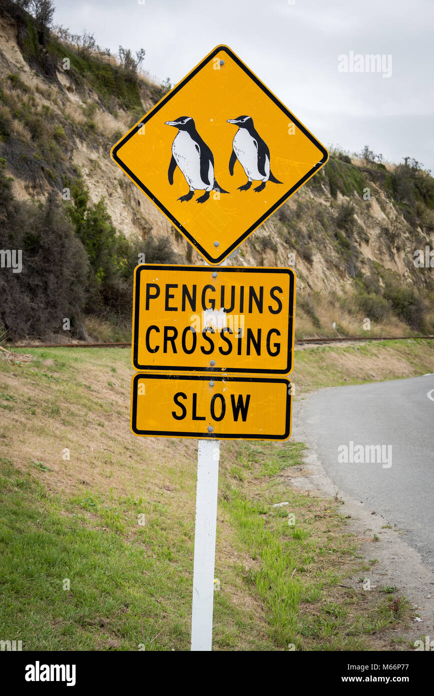 Attraversamento dei pinguini di segno, Dunedin, Isola del Sud, Nuova Zelanda Foto Stock