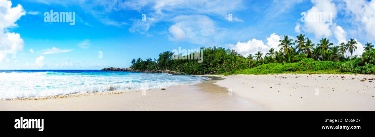 Panorama della spiaggia tropicale con palme,scogli di granito, sabbia bianca e acqua turchese, polizia bay, Seicelle Foto Stock