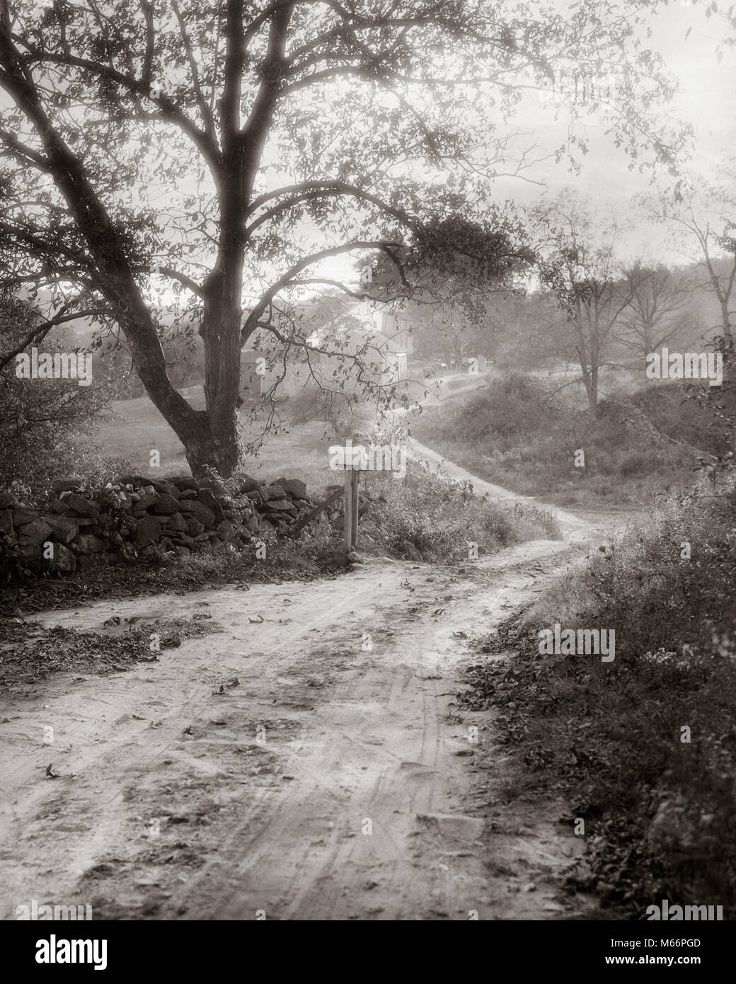 1930s Vicolo del paese di strada sterrata mailbox Litchfield Hills vicino SHERMAN CONNECTICUT USA - r4194 HAR001 HARS muro di pietra B&W IN BIANCO E NERO NEL CONNECTICUT CT LITCHFIELD fuori dal percorso battuto in vecchio stile SYLVAN Foto Stock