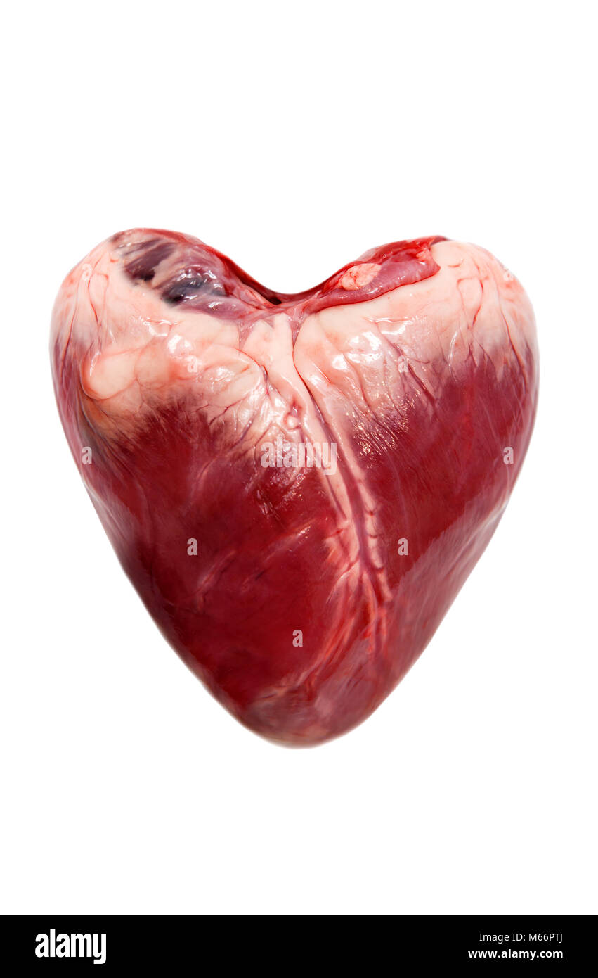 Carne di maiale cruda cuore isolato su uno sfondo bianco Foto Stock