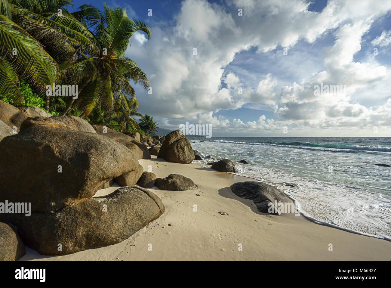 Bella wild tropical beach anse Marie-louise con rocce granitiche e palme nella sabbia delle Seychelles Foto Stock