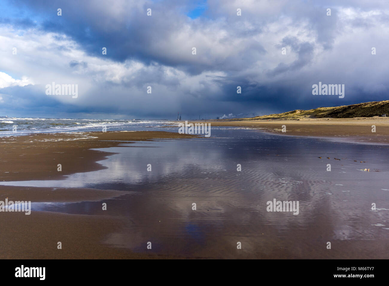 Spiaggia del Mare del Nord vicino a Zandvoort, provincia Olanda Settentrionale Foto Stock