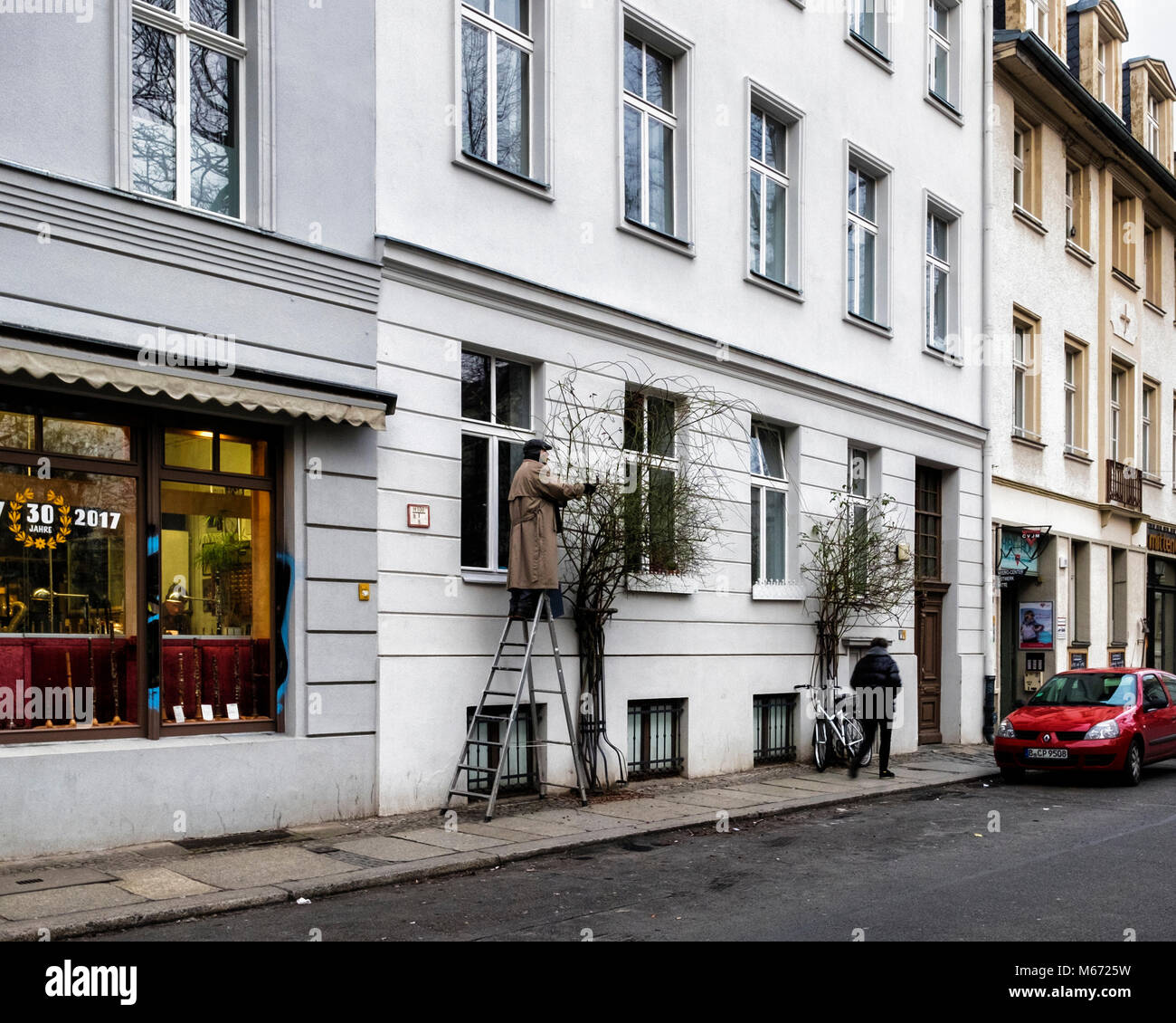 Berlino, Mitte. Giardiniere urbana permanente sulla scaletta di fresatura & rose bush al di fuori di edificio di appartamenti in via della città Foto Stock