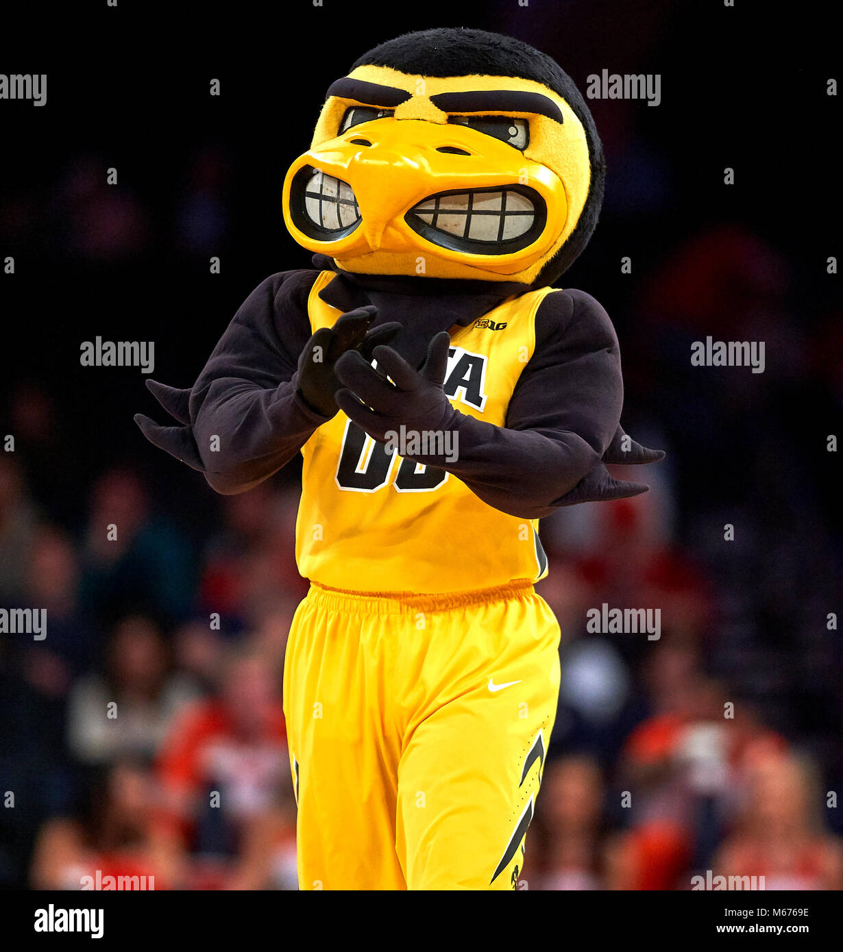 New York, New York, Stati Uniti d'America. 28 Feb, 2018. Iowa Hawkeyes mascott durante il primo giro di dieci grandi tornei al Madison Square Garden di New York City. Iowa sconfitto Illinois 96-87. Duncan Williams/CSM/Alamy Live News Foto Stock