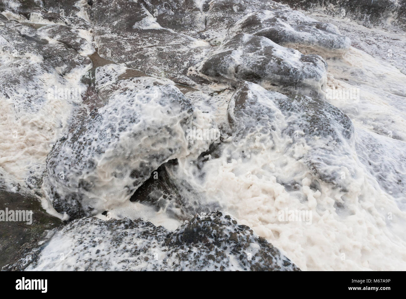 Schiuma di mare sulla costa del Northumberland, causati da acqua di mare agitazione combinate con la materia organica. Foto Stock
