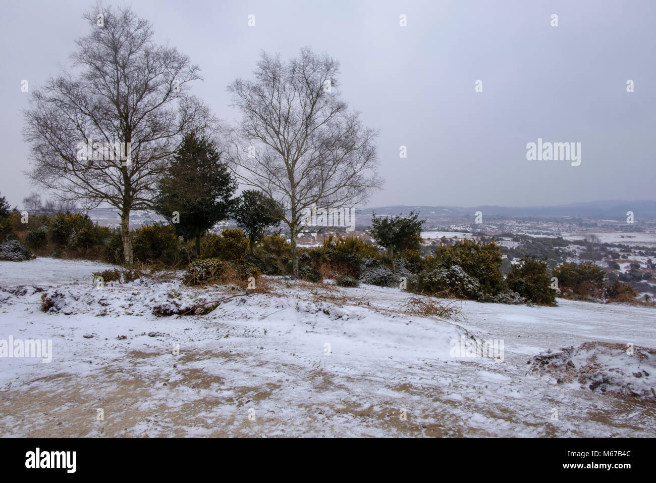 New Forest. 1 Mar, 2018. Regno Unito Meteo: primo giorno di primavera nella nuova foresta Hampshire con neve dalla bestia da est. Credito: © Paul Chambers / Alamy Stock Photo/Alamy Live News Foto Stock