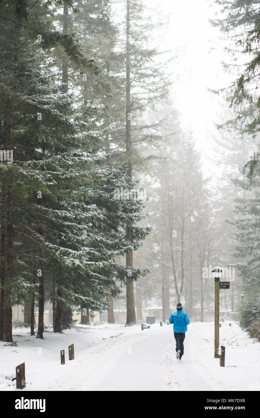 Longleat Center Parcs, Wiltshire. 1 Mar, 2018. Regno Unito meteo: un uomo fa avanzare nella neve a Longleat Center Parcs nel Wiltshire. Molto del Sud Ovest e il Galles sono state colpite dalla tempesta Emma, portando blizzards e nevicate. 1 marzo 2018 Credit: Adam Gasson/Alamy Live News Foto Stock