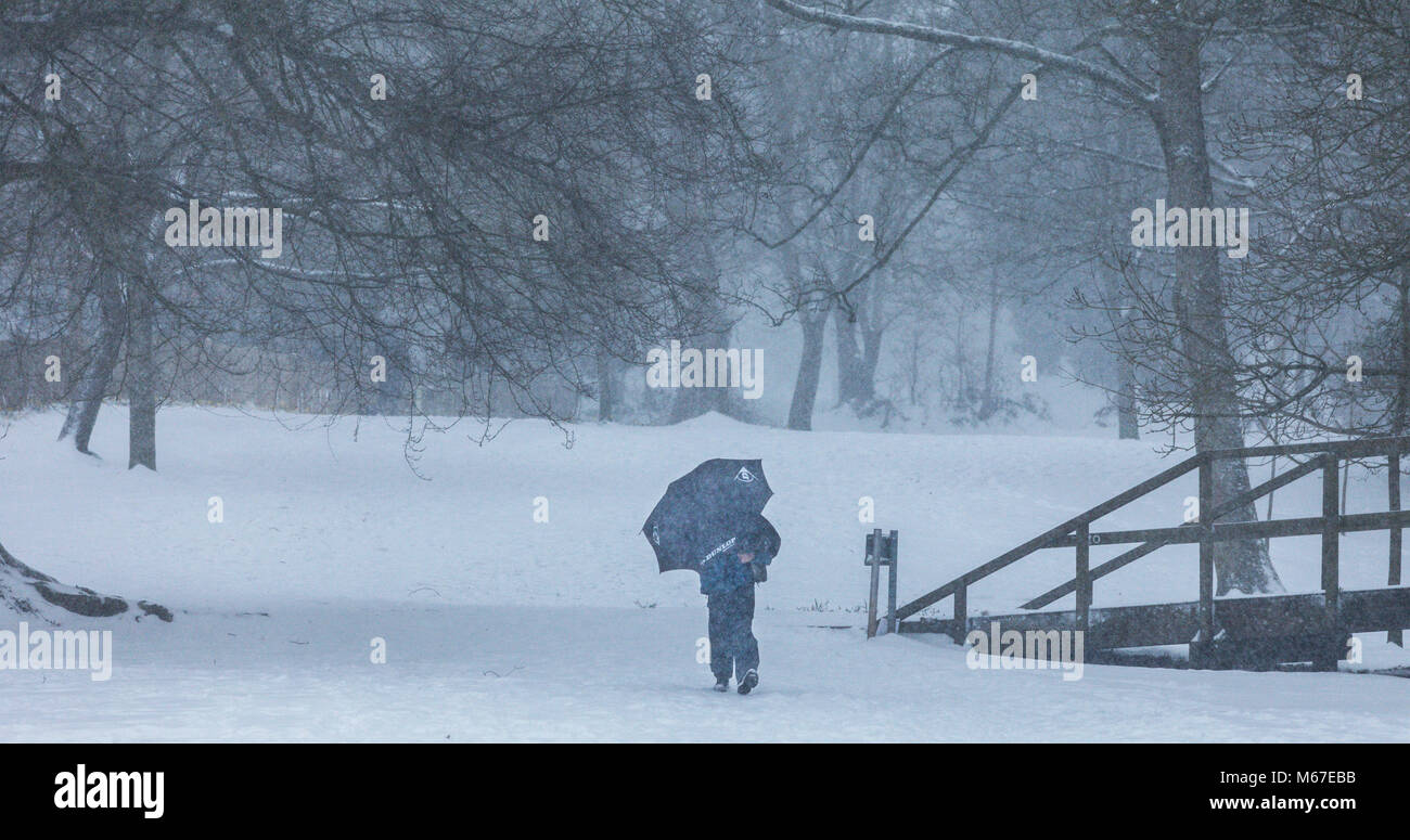 Sidmouth, Devon, 1 Marzo 18 persone brave la neve a Sidmouth come bestia da Est incontra tempesta Emma oltre a sud ovest dell'Inghilterra. Devon e Cornwall aspettano di diversi centimetri di neve nelle prossime ore. La neve è una grande rareity sulla costa del Devon - Sidmouth ha avuto nessuno poiché l'inverno 2010/11. Foto centrali/Alamy Live News Foto Stock