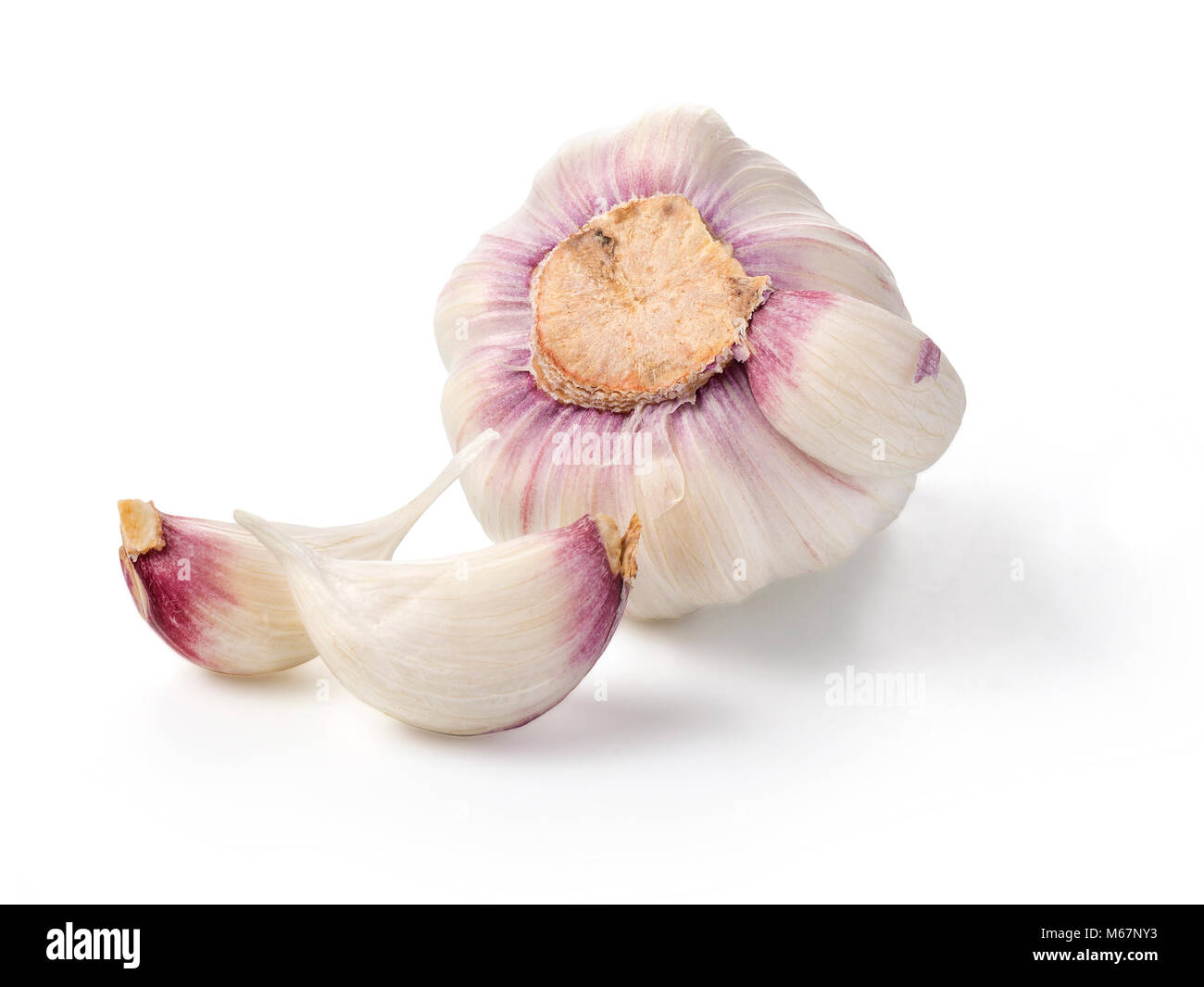 Non cotte aglio intero con shell su sfondo bianco Foto Stock