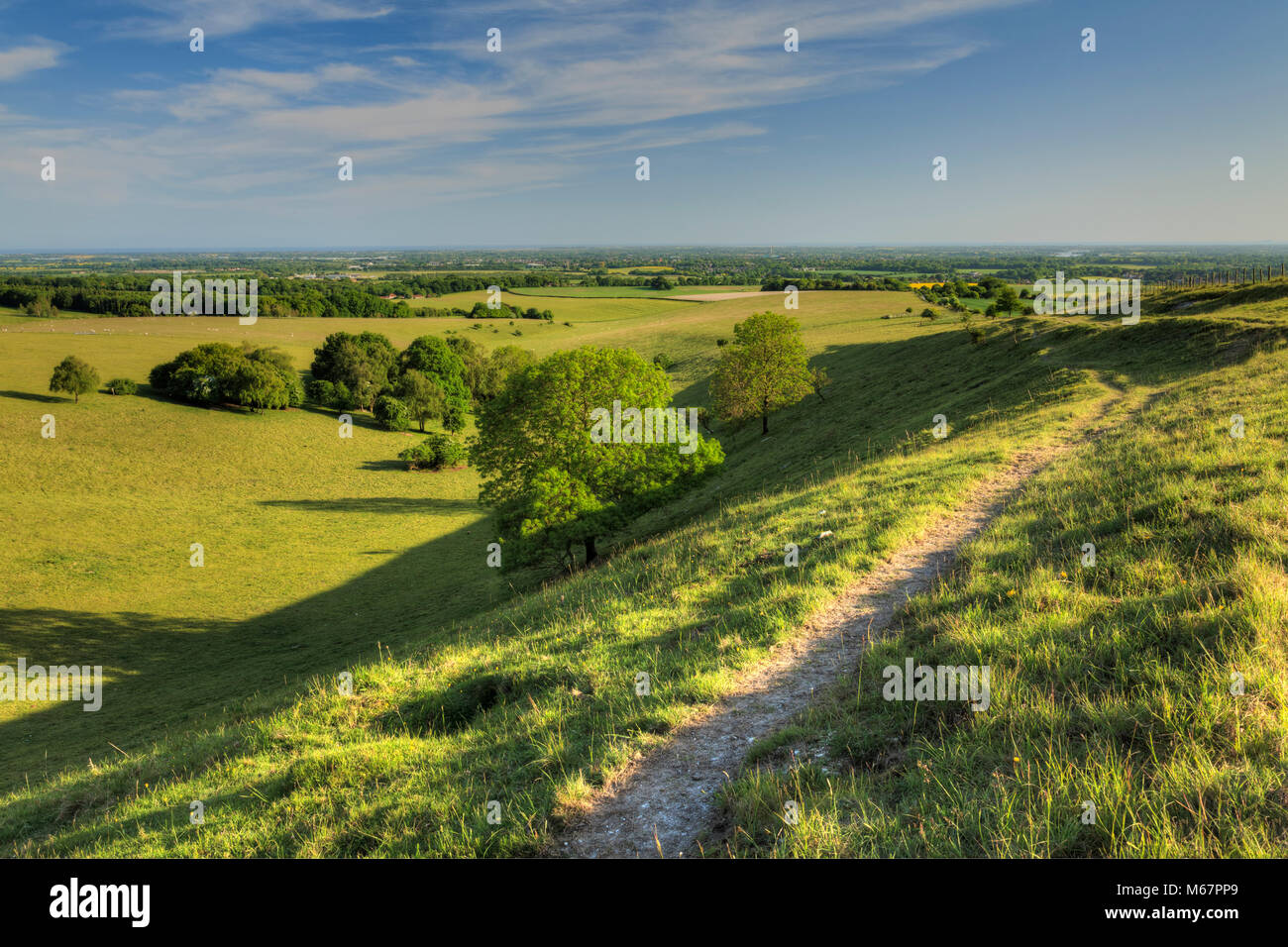 San Rocco's Hill, guardando verso sud, Nr Il Trundle e Goodwood., West Sussex Foto Stock