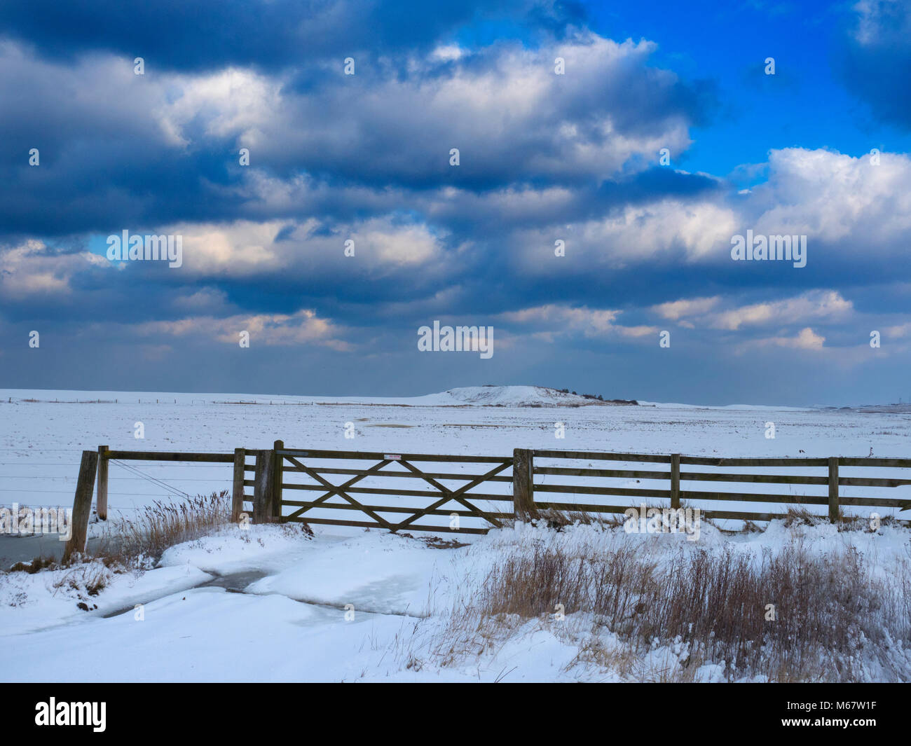 Paludi di pascolo a Salthouse Norfolk in inverno la neve Foto Stock