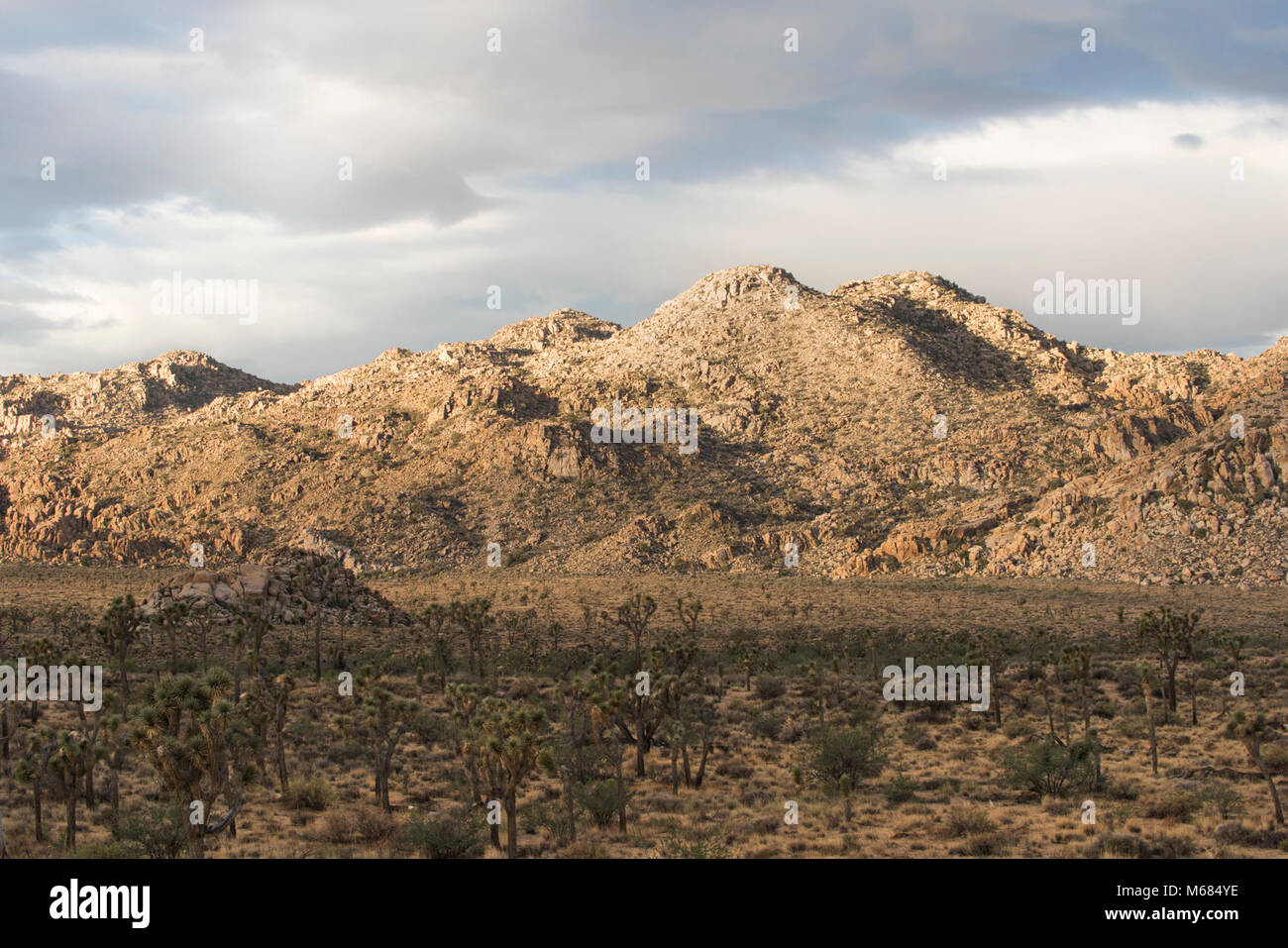 Sunrise vicino alla Montagna di quaglia. Foto Stock