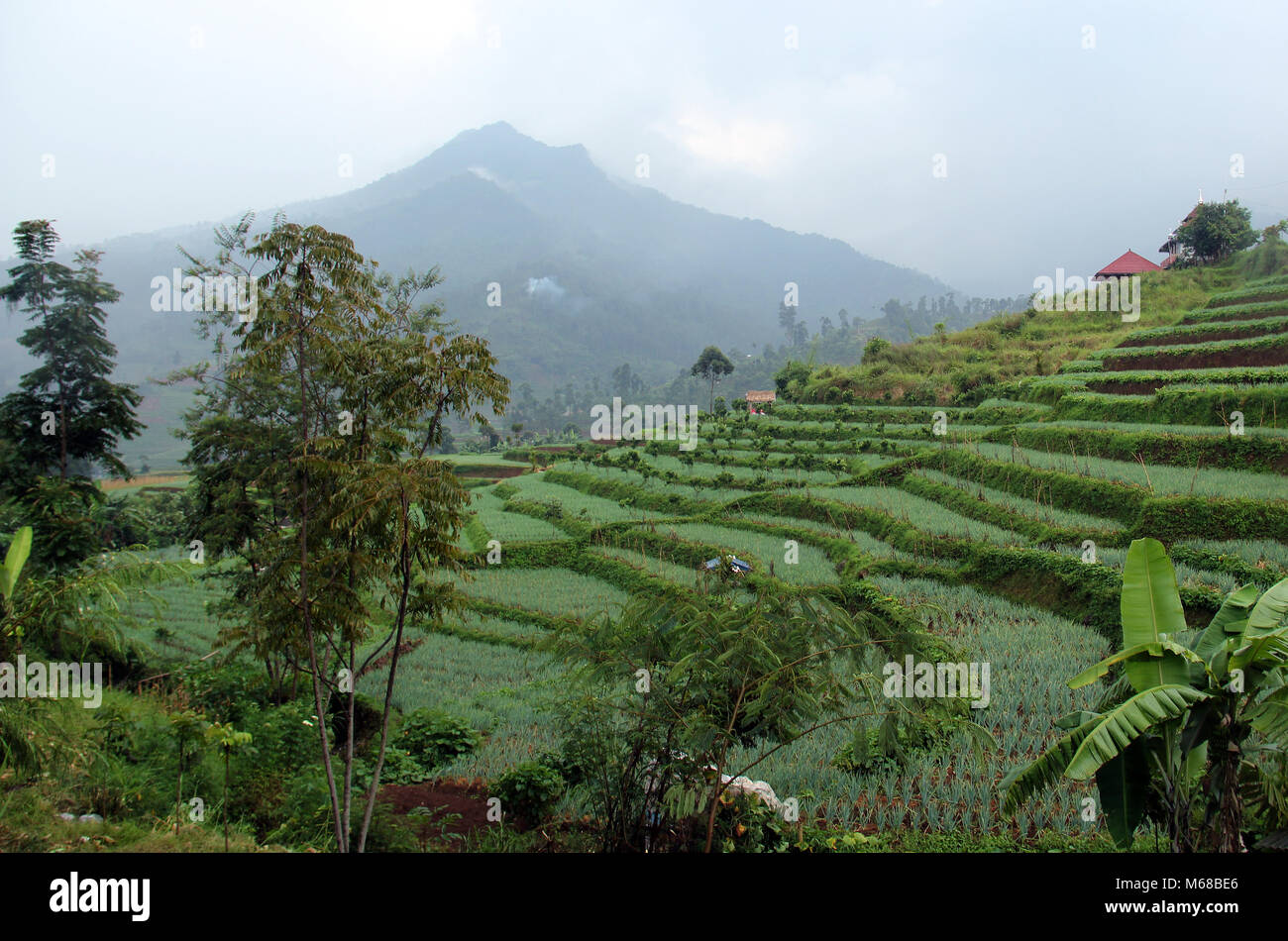 Zona di montagna nel Pacet, Kertasari, Bandung, Indonesia, Asia sud-orientale, Asia. Foto Stock