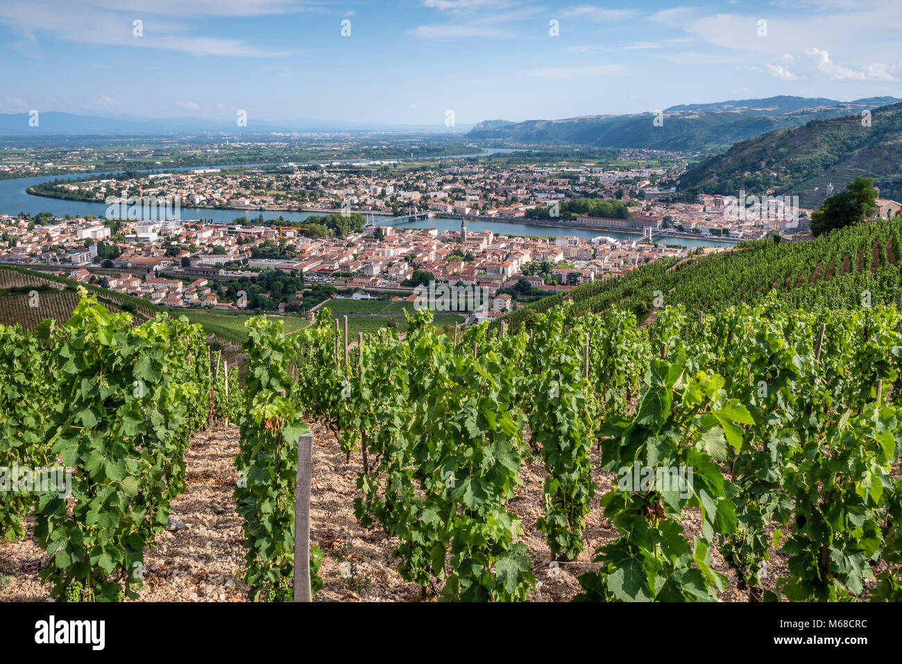 Attraverso i vigneti a Tain l'hermitage Valence Drôme Auvergne-Rhône-Alpes Francia Foto Stock