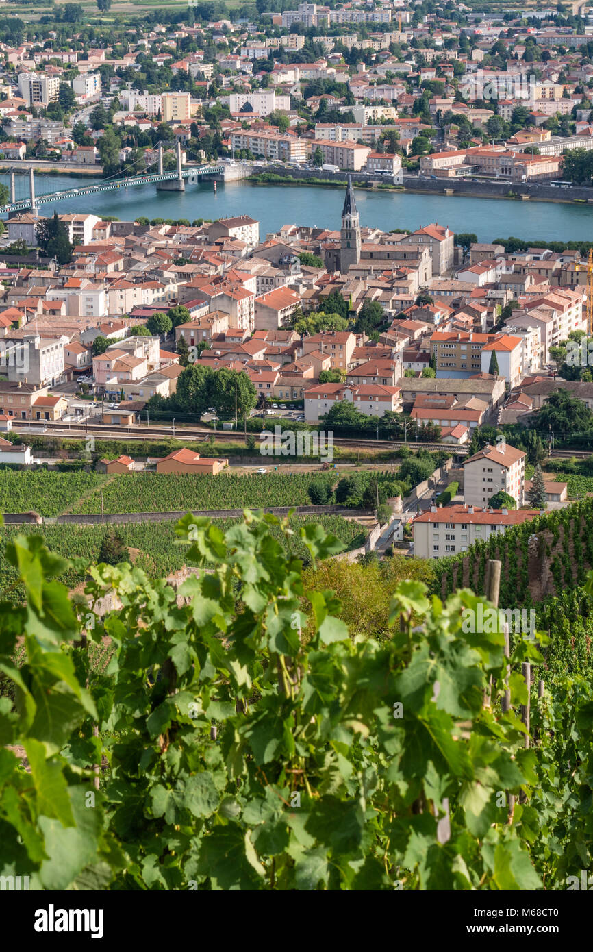 Attraverso i vigneti a Tain l'hermitage Valence Drôme Auvergne-Rhône-Alpes Francia Foto Stock