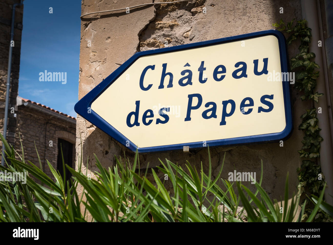 Chateauneuf du Pape Carpentras Vaucluse Provenza-Alpi-Costa azzurra Francia Foto Stock