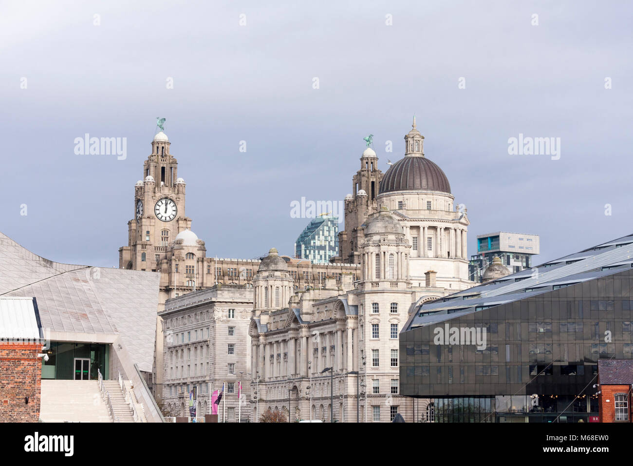 Una vista del fegato edificio dall'Albert Dock, Liverpool, Merseyside Foto Stock