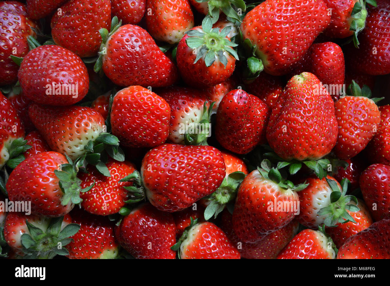 Sfondo con fragole Foto Stock