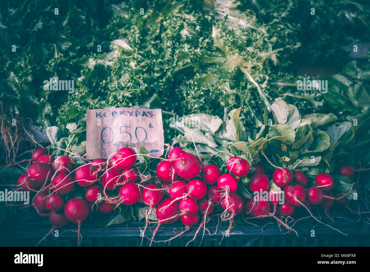 Ravanelli in vendita in un mercato aperto di Corfù, Grecia.Ravanelli appartengono alla famiglia delle crucifere verdure e sono tra i più sottovalutati di verdura Foto Stock
