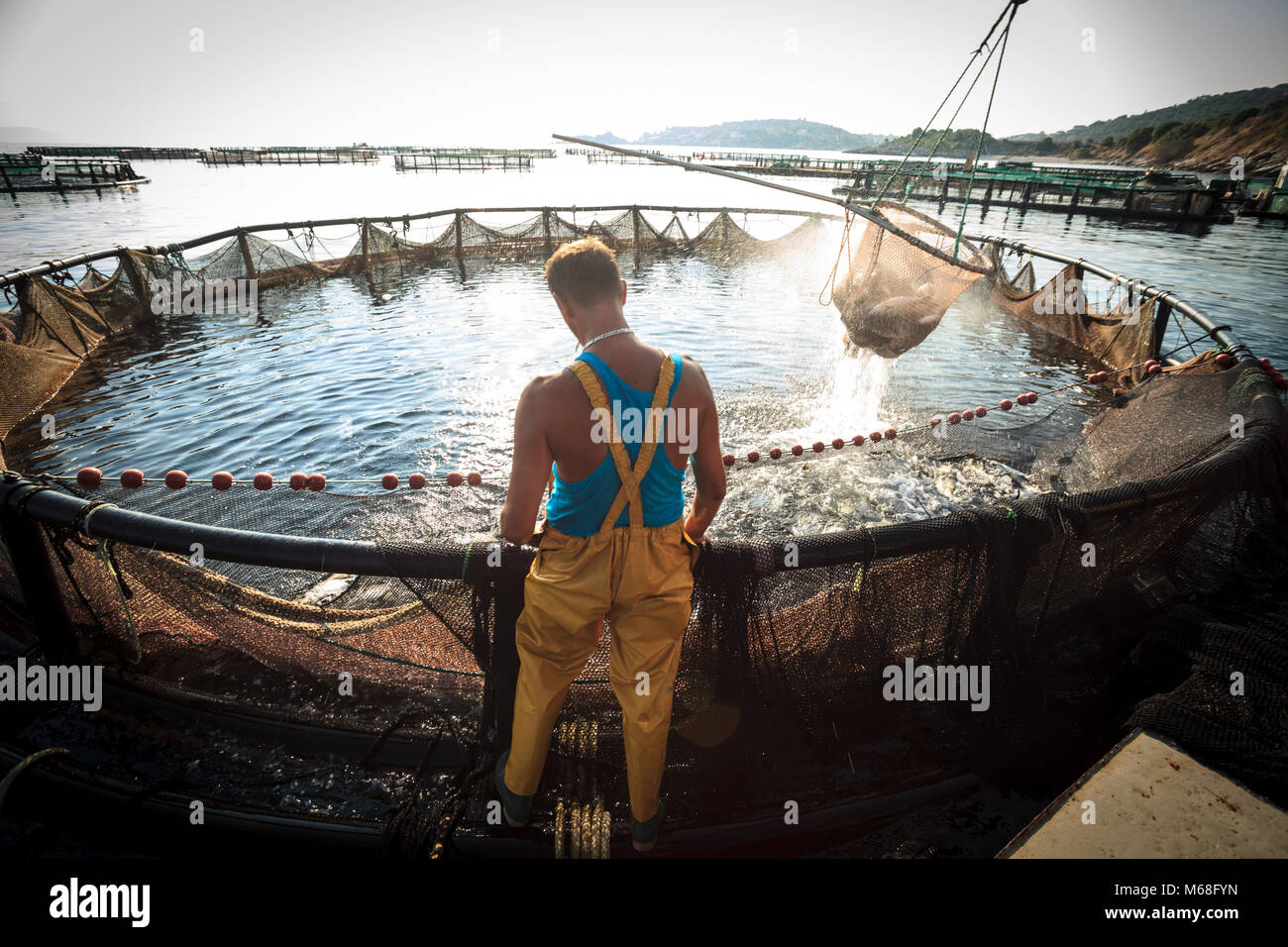 Un uomo che lavora in un settore della pesca a Corfù, Grecia Foto Stock