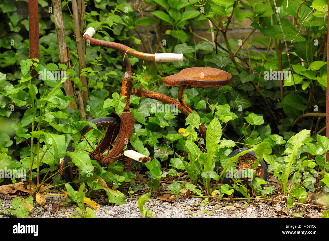 Dreirad im Garten Foto Stock