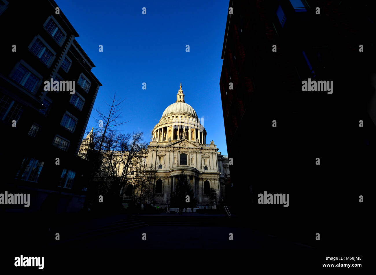 Londra, Inghilterra, Regno Unito. La Cattedrale di St Paul e visto da Pietro Hill Foto Stock