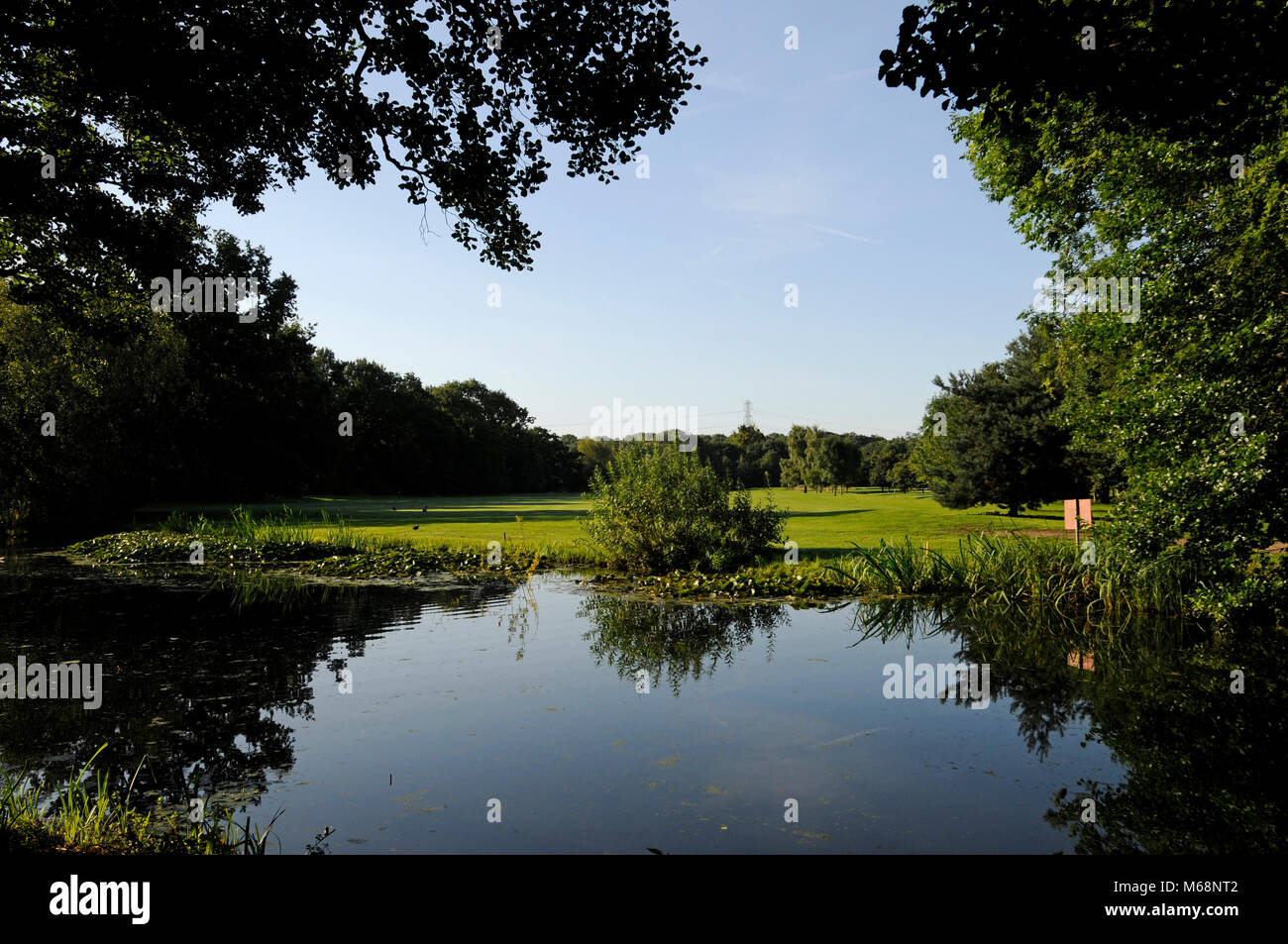 Vista sul laghetto di fronte al XVIII Verde per il fairway, Richings Park Golf Club, Iver, Buckinghamshire, Inghilterra Foto Stock