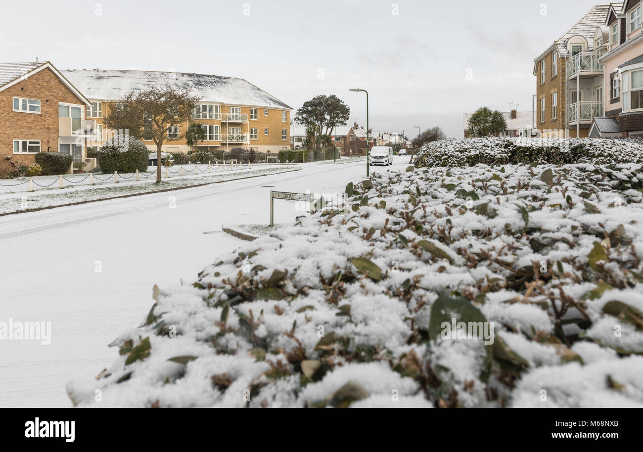 Boccola ricoperta di neve in una strada residenziale con neve che ricoprono una strada deserta in inverno nel West Sussex, in Inghilterra, Regno Unito. Foto Stock