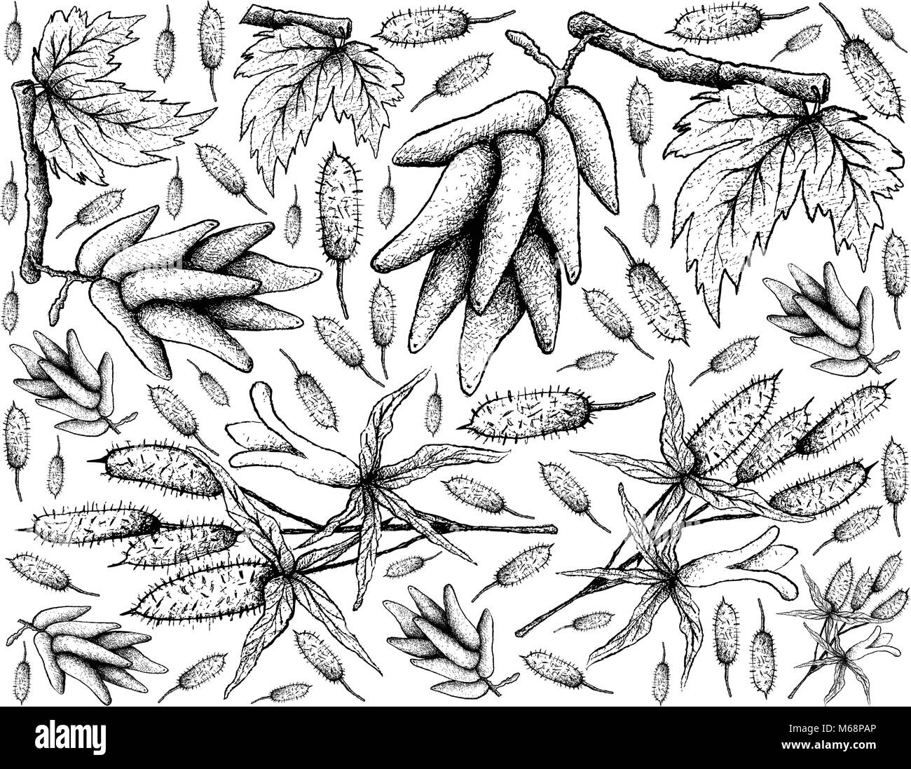 Frutti di bosco e immagine di sfondo di mano il bozzetto mazzetto di fresca Uva allungate, la luna scende uva e bacche di Apple o Apple Dum Illustrazione Vettoriale