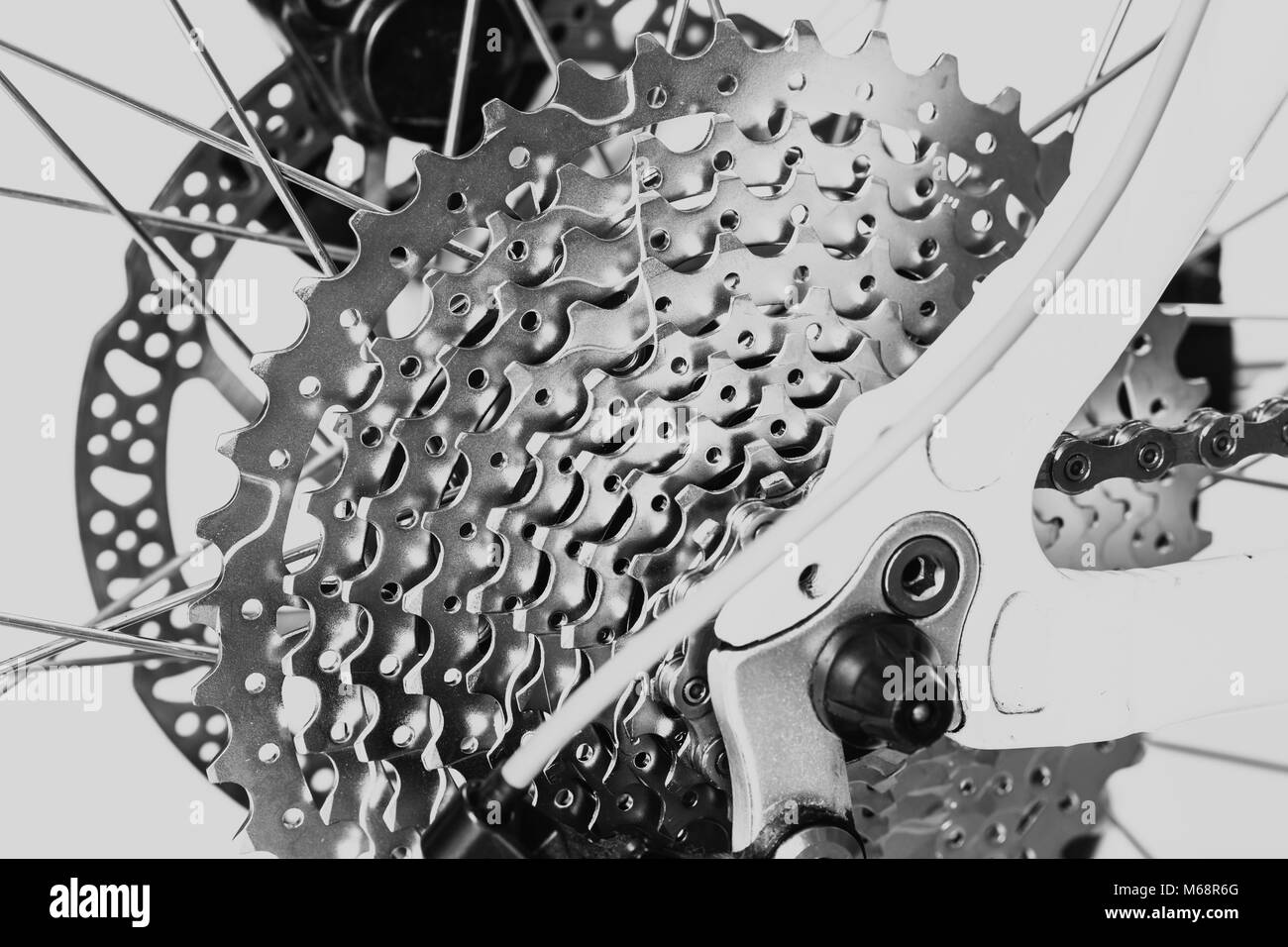 Closeup bike posteriore ingranaggio a cassetta con catena e freni a disco monotono Foto Stock