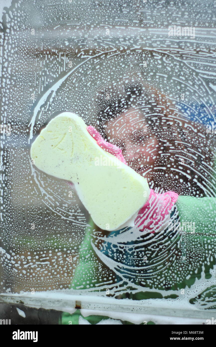 Lavare la serra. Le finestre della serra sono lavate con acqua calda e sapone in inverno per migliorare le condizioni di crescita e contribuire a ridurre il rischio di parassiti e malattie. Foto Stock