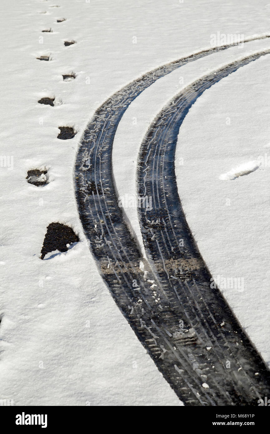 Pneumatico auto marchi nella neve con piedi stampe. Foto Stock