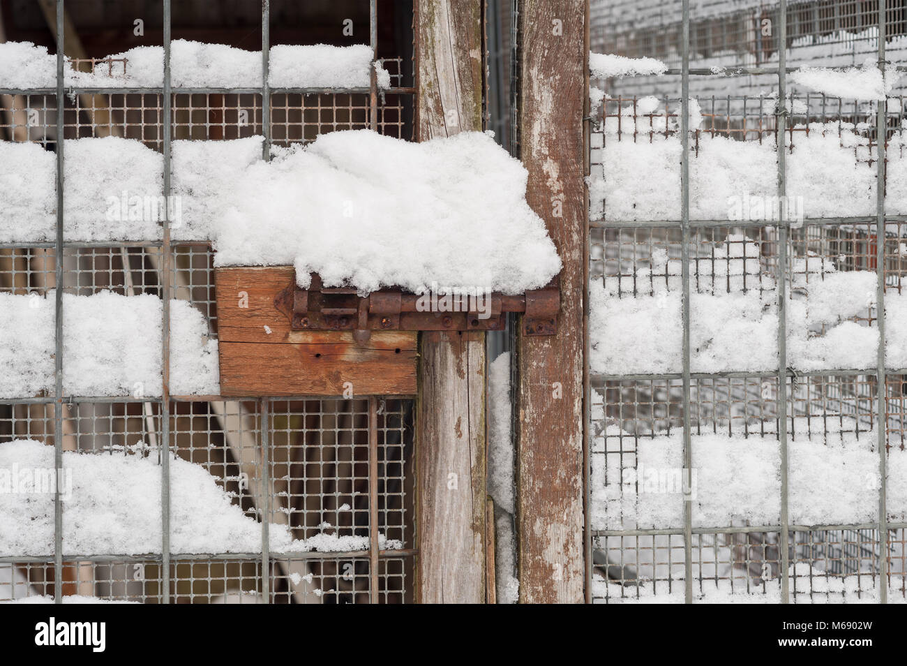Snow rivestito tenendo fermi porta chiusa Foto Stock