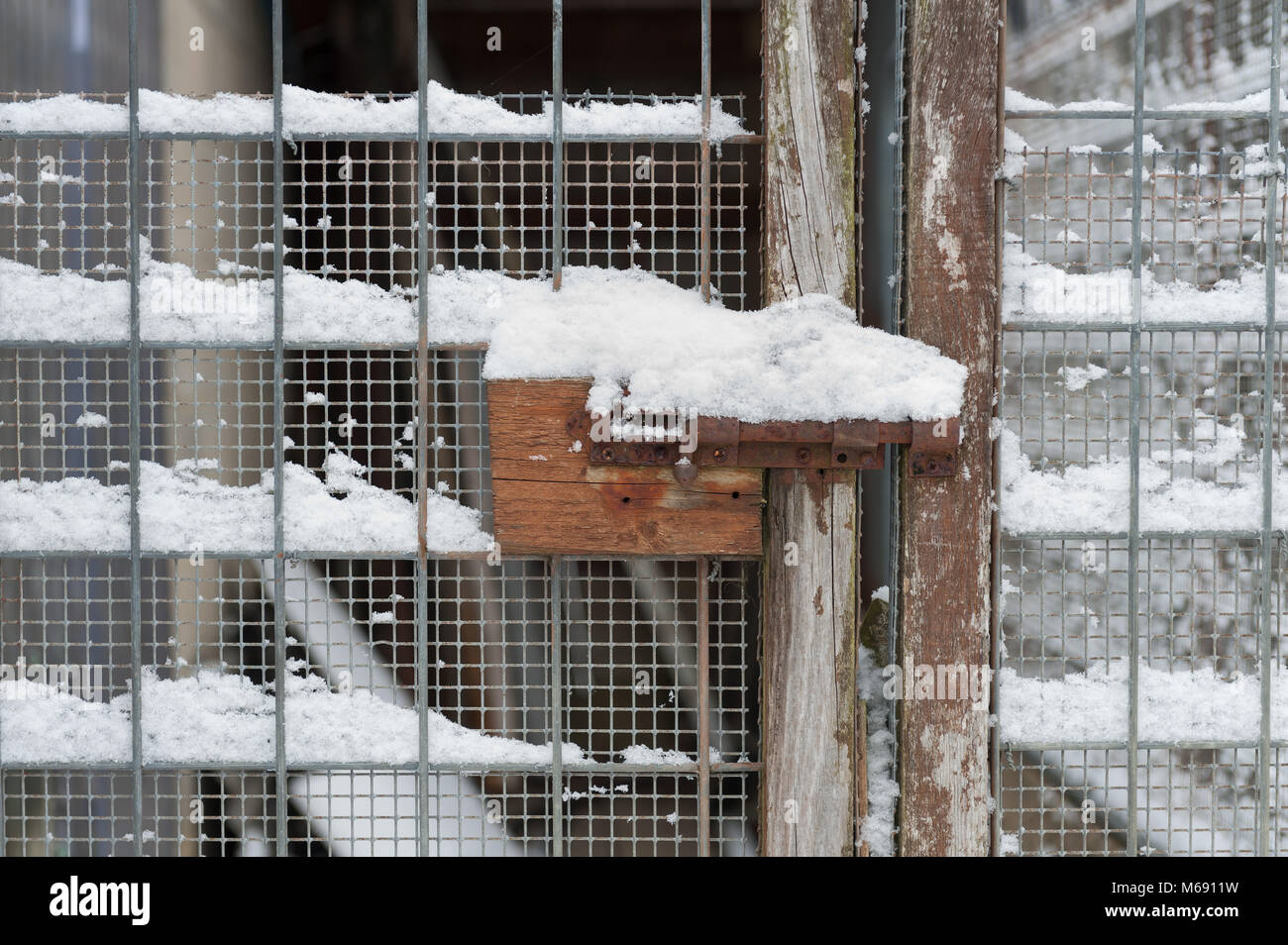 Snow rivestito tenendo fermi porta chiusa Foto Stock