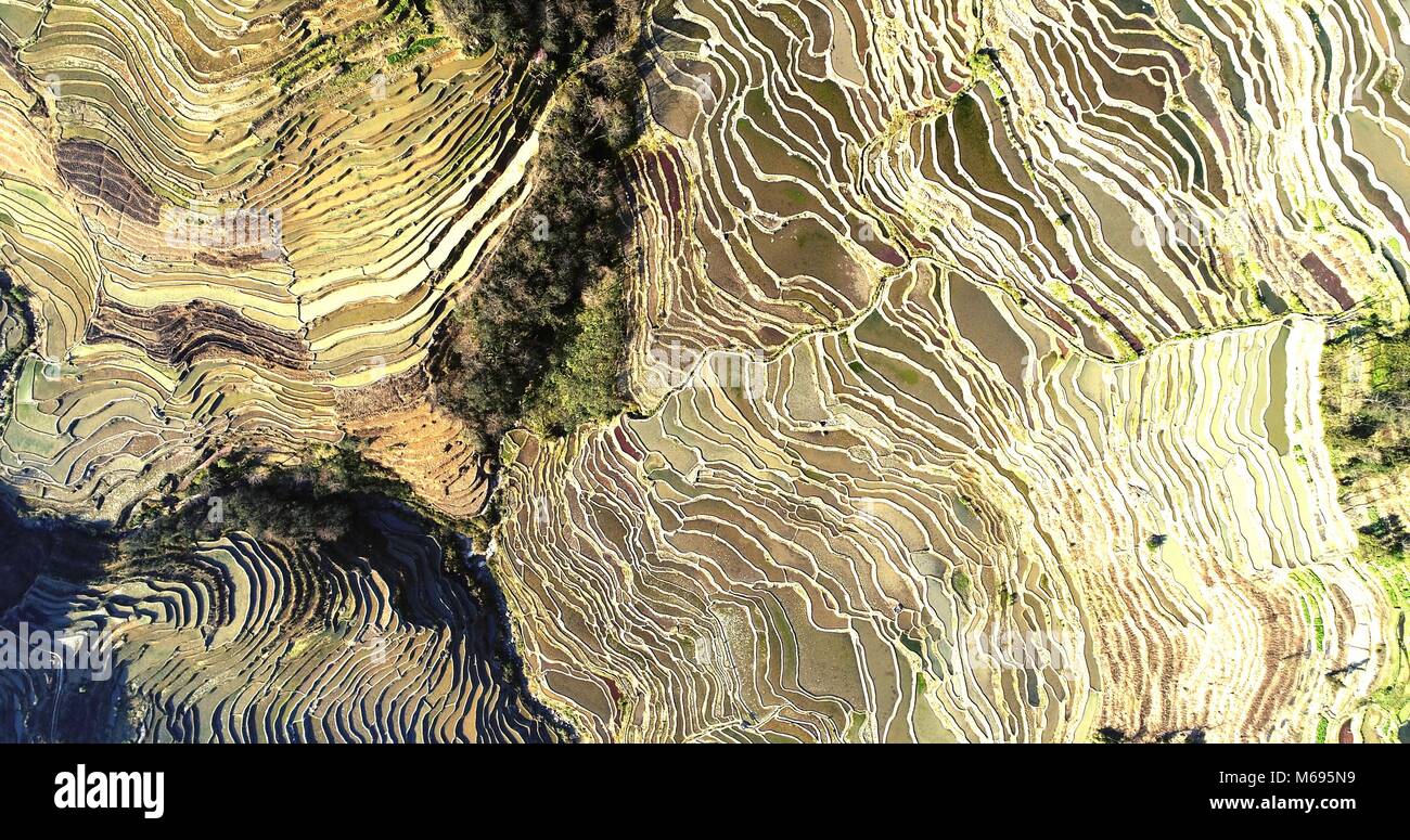 Vista aerea sul mondo più spettacolari campi di riso, il Yuanyang Hani terrazze di riso nel sud-est della provincia di Yunnan in Cina. Patrimonio Mondiale UNESCO Foto Stock