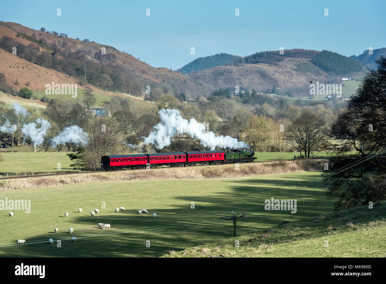 Treni a vapore in Llangollen una piccola città e comunità in Denbighshire, a nord-est del Galles, situato sul fiume Dee e sul bordo del Berwyn mou Foto Stock