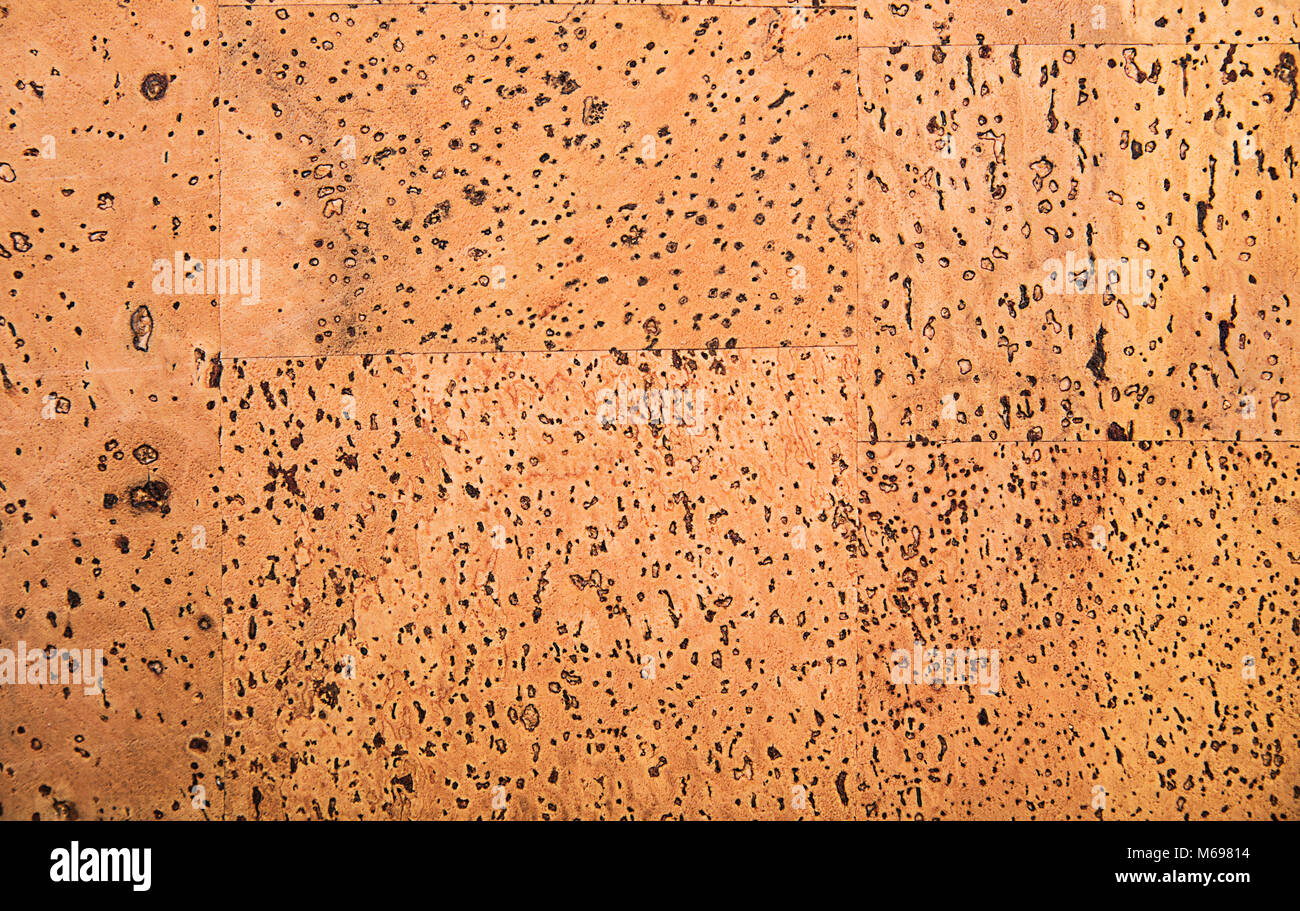Dettaglio texture di superficie della lavagna di sughero Sfondo di legno Foto Stock