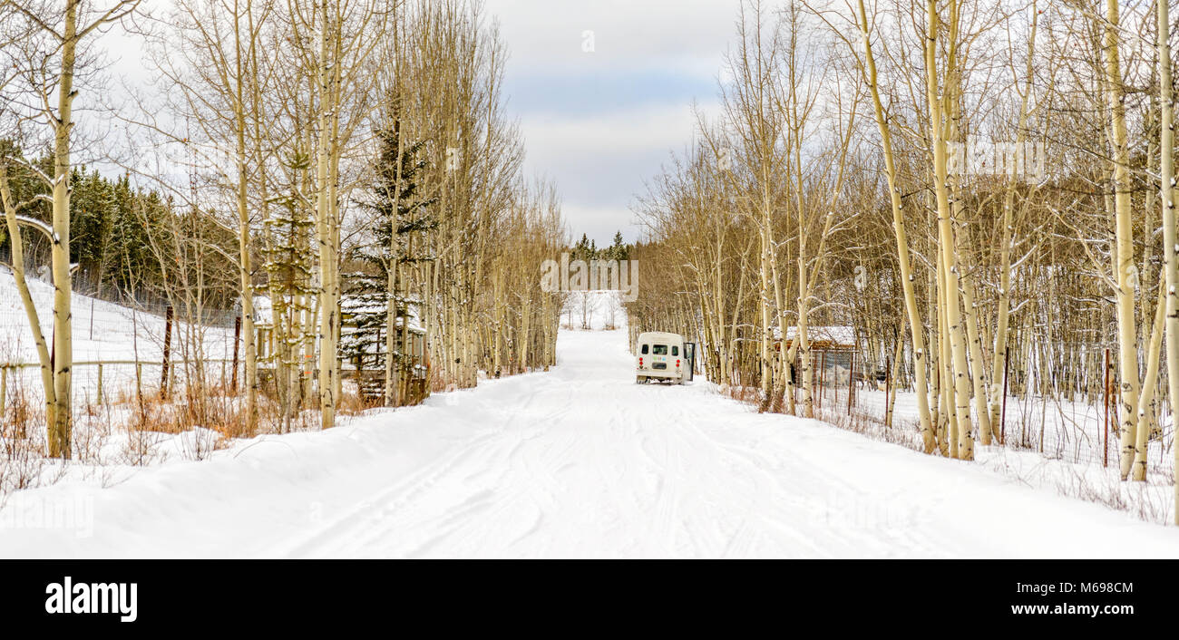 Yukon preservare la fauna selvatica, Yukon Territory, Canada Foto Stock
