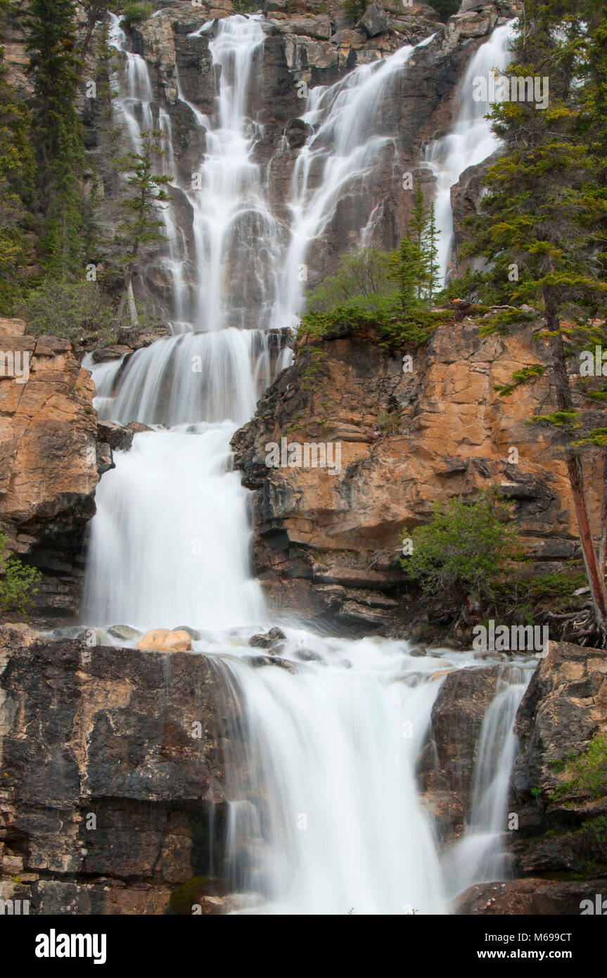 Groviglio scende, il Parco Nazionale di Jasper, Alberta, Canada Foto Stock