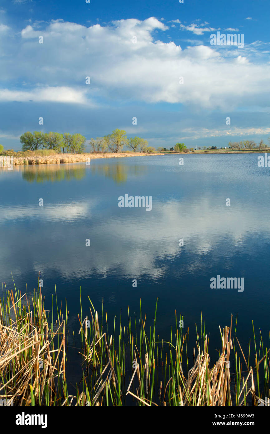 Lago Ladora, Rocky Mountain Arsenal National Wildlife Refuge, Colorado Foto Stock