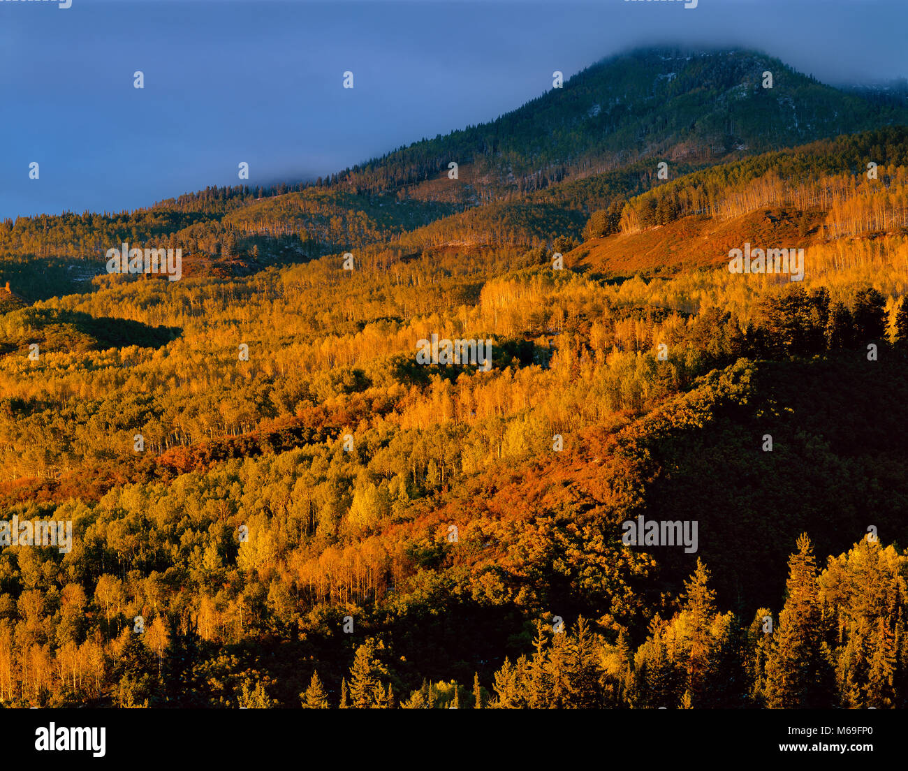 Last Light, Cimarron Ridge, Uncompahgre National Forest, Colorado Foto Stock