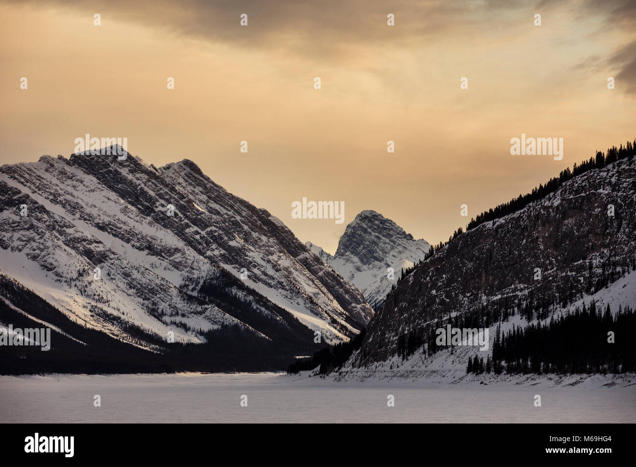 Le Montagne Rocciose vicino a Canmore, Alberta. Foto Stock