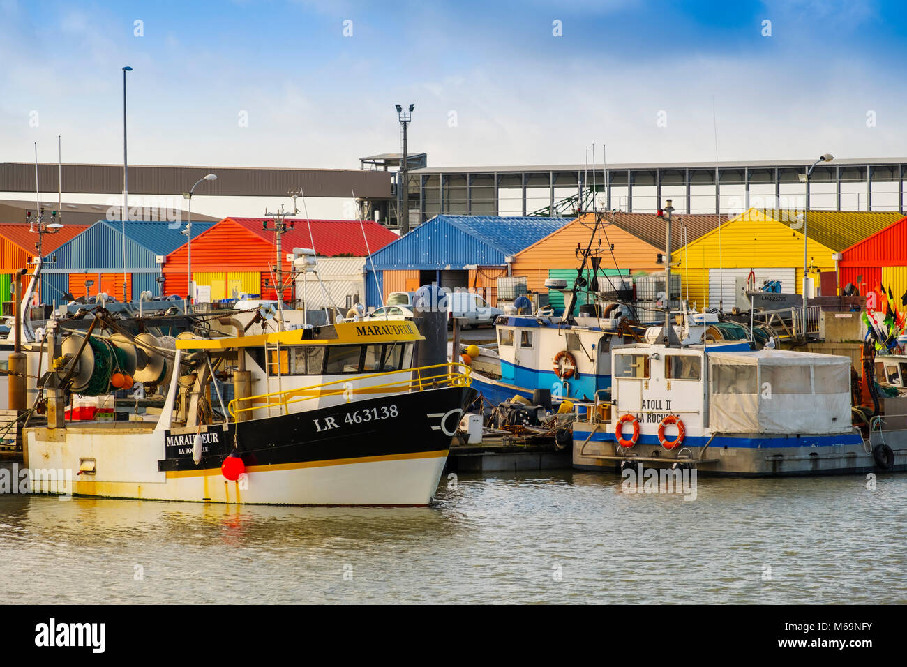 Port Atlantique, porto commerciale, barche da pesca. La Rochelle. Poiteau. Charente-Maritime. Francia Foto Stock
