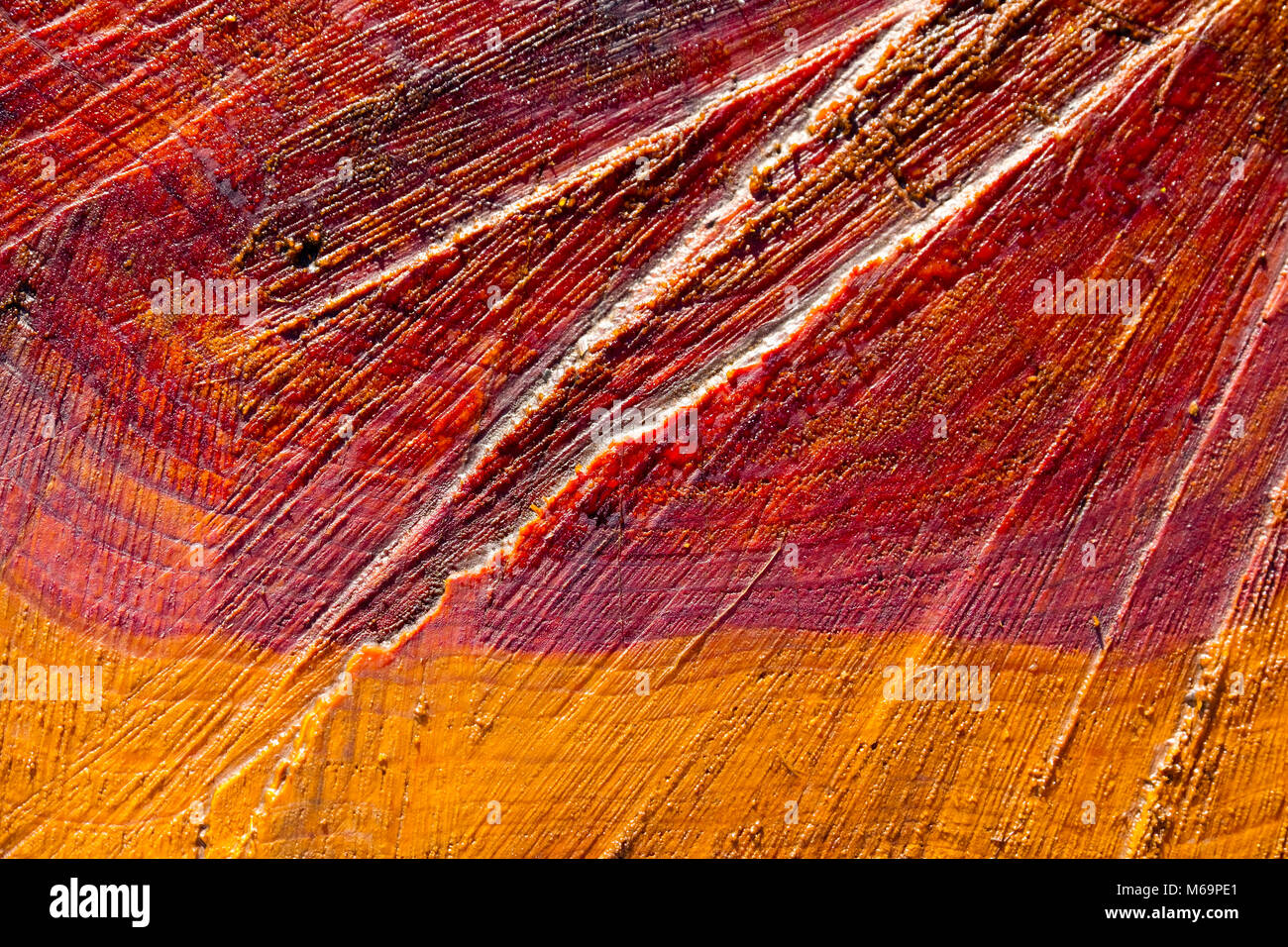 Tronchi di legno tagliato. Saja parco naturale, Saja-Nansa, Cantabria Spagna Europa Foto Stock