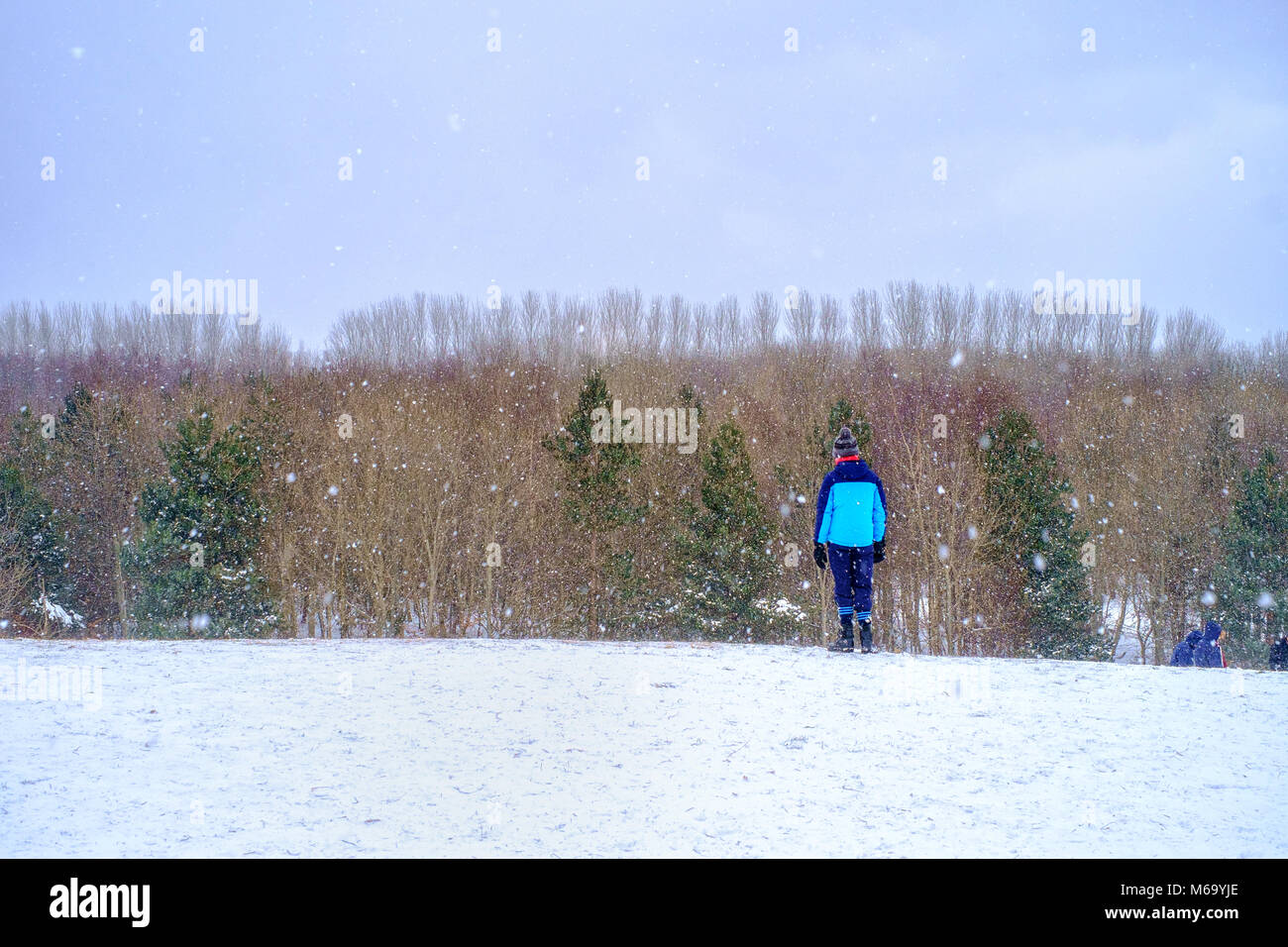 Dublino, Irlanda. 1 Mar, 2018. Regno Unito: Meteo Tymon Park è un grande, 130 ettari, suburbana parco pubblico a Dublino, Irlanda. Lo scenario è stato cambiato da neve portato dalla tempesta Emma. 1 marzo, 2018. Credito: Jose Maciel/Alamy Live News Foto Stock