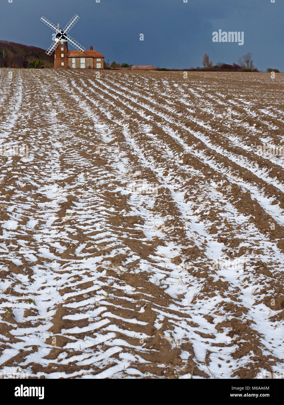 Il mulino a vento e campo invernale Weybourne sulla Costa North Norfolk Foto Stock