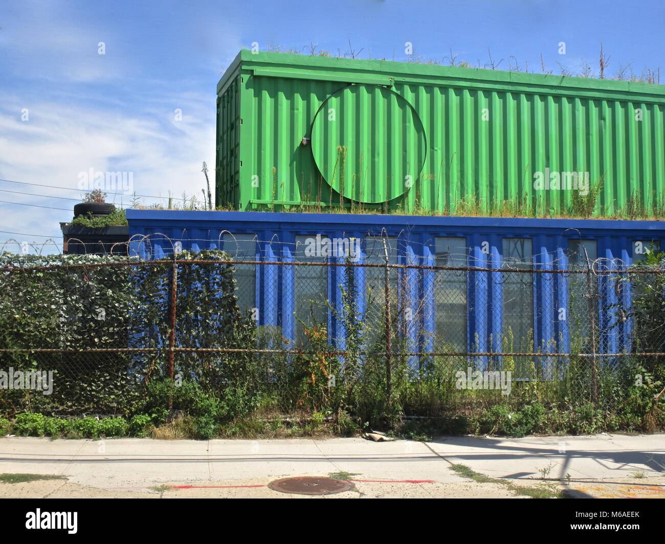 Red Hook, Brooklyn: Verde contenitore impilata su un contenitore blu dietro una catena collegamento recinto, con vegetazione che cresce su e intorno a loro. Foto Stock