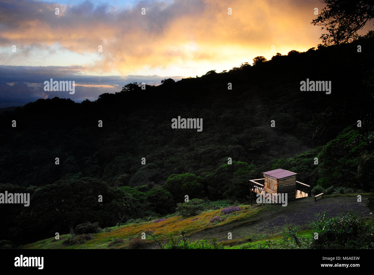 Capanna di caffè sul bosque Caricias, una riserva naturale privata, situata a Concepción de San Isidro de Heredia. Foto Stock