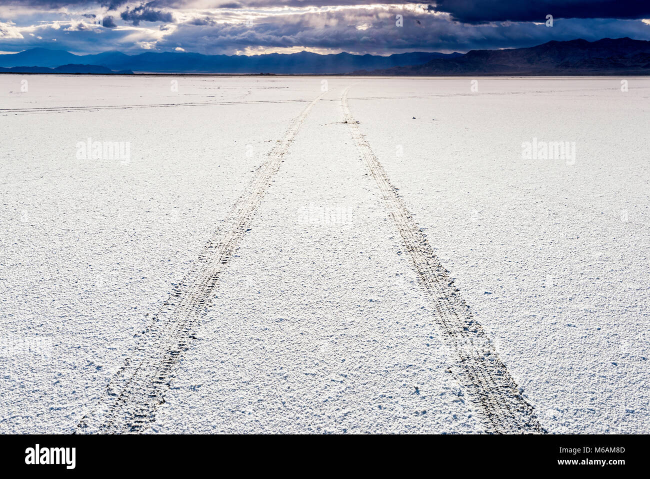 Tracce di auto a salina a Bonneville Saline del parco statale, tramonto, argento isola Montagne in dist, fantastica Salt Lake Desert, vicino Wendover, Utah, Stati Uniti d'America Foto Stock